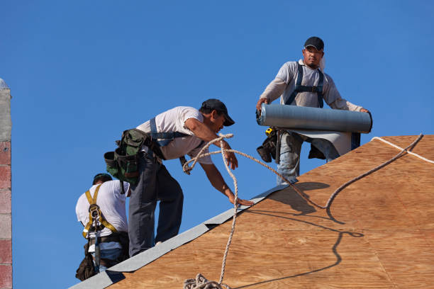 Best Roof Inspection Near Me  in Carpendale, WV