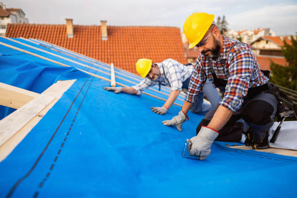 Best Storm Damage Roof Repair  in Carpendale, WV