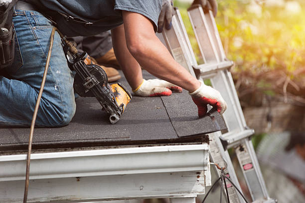 Best Local Roofing Companies  in Carpendale, WV