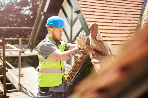 Best Slate Roofing Contractor  in Carpendale, WV